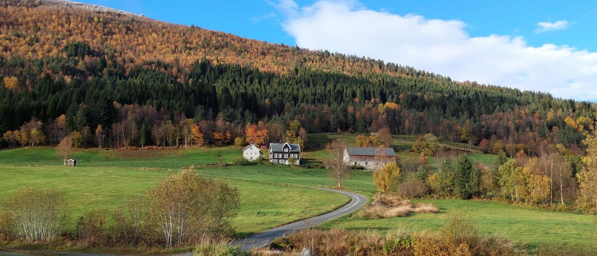 Heggjabygda Gjestegard, Nordfjordeid Ngoại thất bức ảnh